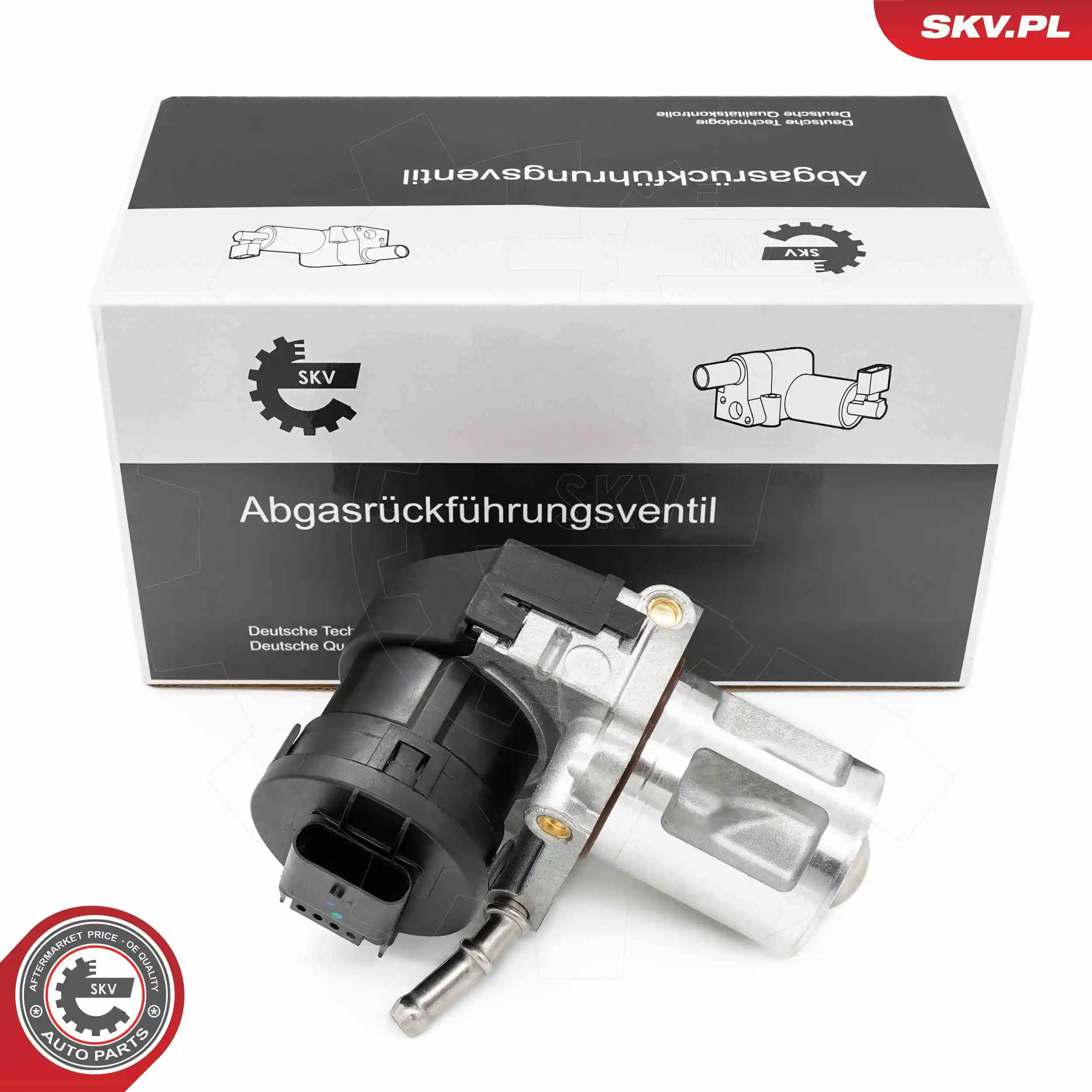 EGR Valve